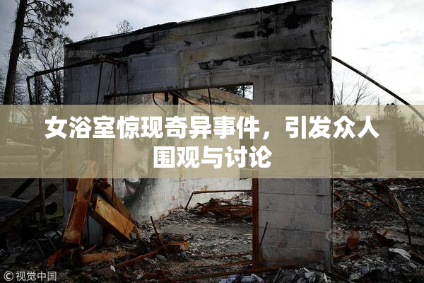 女浴室惊现奇异事件，引发众人围观与讨论