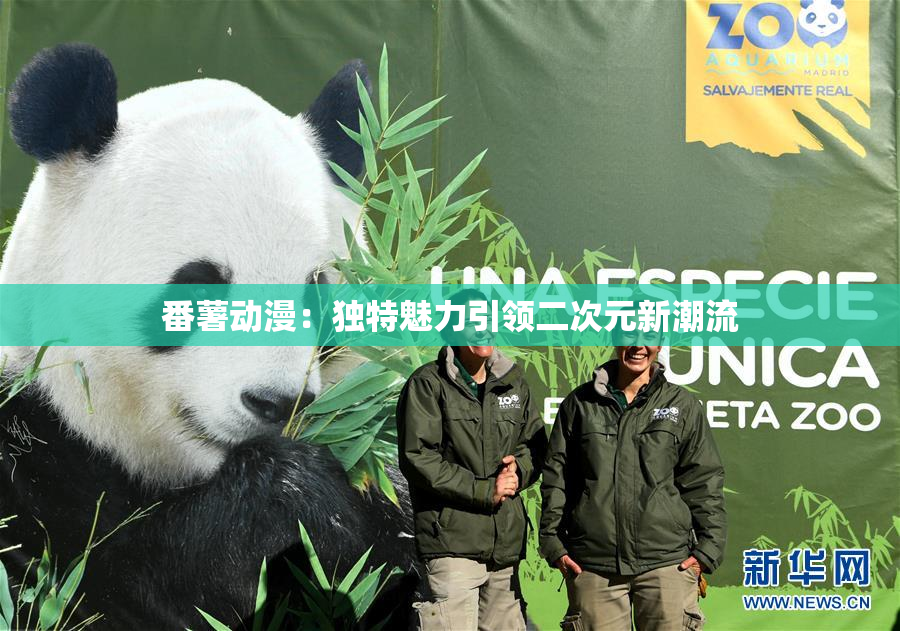 番薯动漫：独特魅力引领二次元新潮流