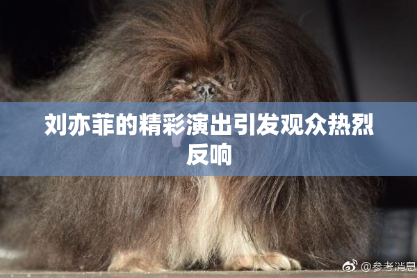 刘亦菲的精彩演出引发观众热烈反响