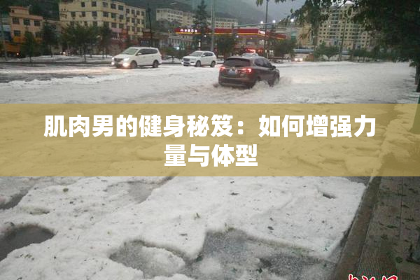 肌肉男的健身秘笈：如何增强力量与体型