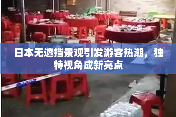 日本无遮挡景观引发游客热潮，独特视角成新亮点