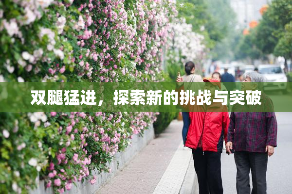 双腿猛进，探索新的挑战与突破
