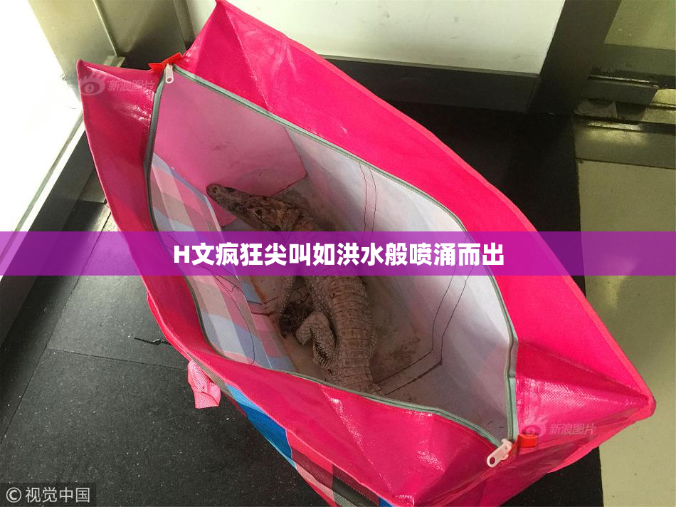 H文疯狂尖叫如洪水般喷涌而出
