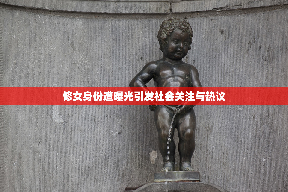 修女身份遭曝光引发社会关注与热议