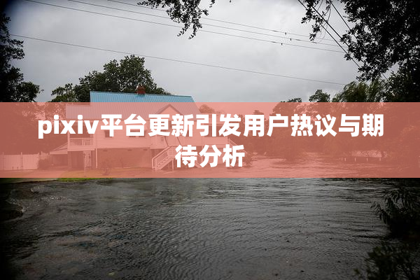 pixiv平台更新引发用户热议与期待分析