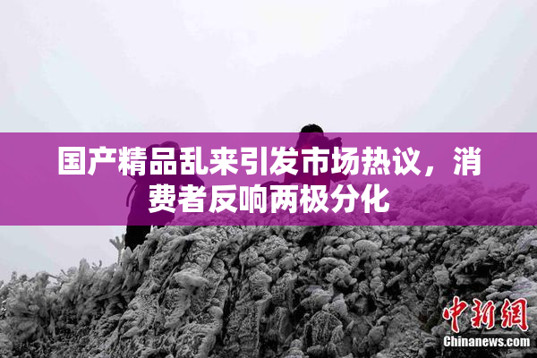 国产精品乱来引发市场热议，消费者反响两极分化
