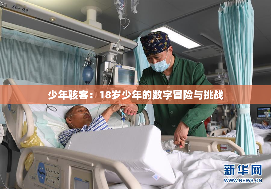 少年骇客：18岁少年的数字冒险与挑战