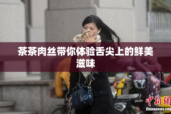 茶茶肉丝带你体验舌尖上的鲜美滋味