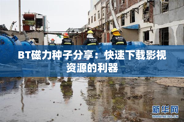 BT磁力种子分享：快速下载影视资源的利器