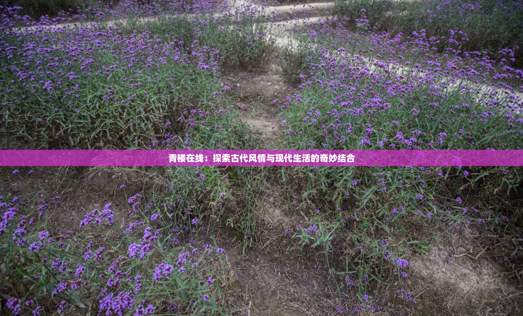 青楼在线：探索古代风情与现代生活的奇妙结合