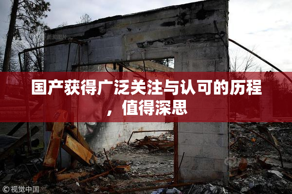 国产获得广泛关注与认可的历程，值得深思
