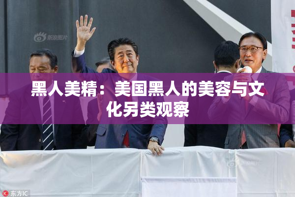 黑人美精：美国黑人的美容与文化另类观察