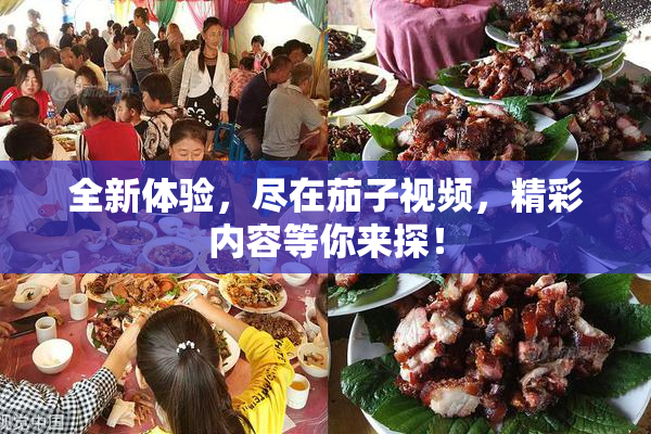 全新体验，尽在茄子视频，精彩内容等你来探！