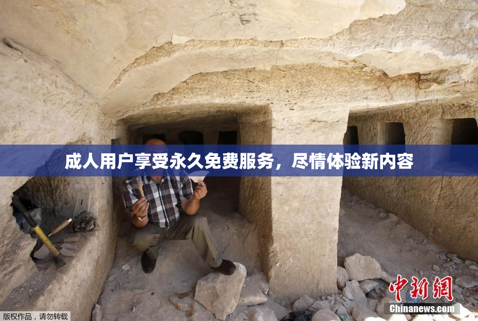 成人用户享受永久免费服务，尽情体验新内容