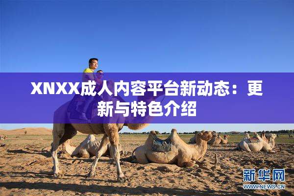 XNXX成人内容平台新动态：更新与特色介绍