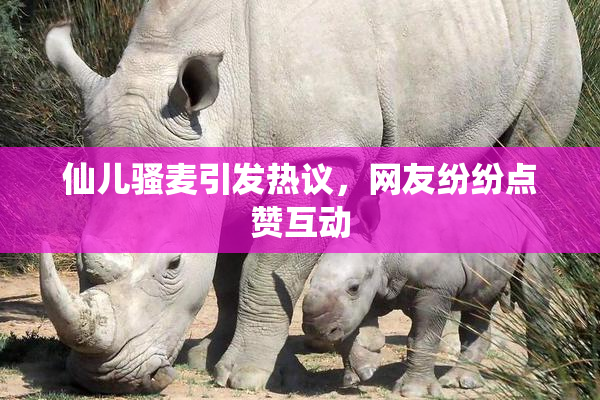 仙儿骚麦引发热议，网友纷纷点赞互动