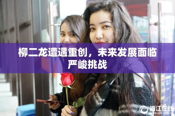 柳二龙遭遇重创，未来发展面临严峻挑战