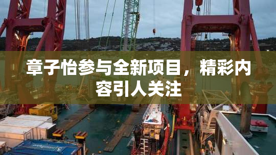 章子怡参与全新项目，精彩内容引人关注