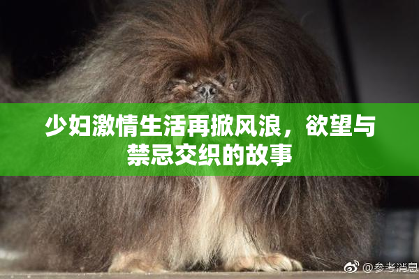 少妇激情生活再掀风浪，欲望与禁忌交织的故事