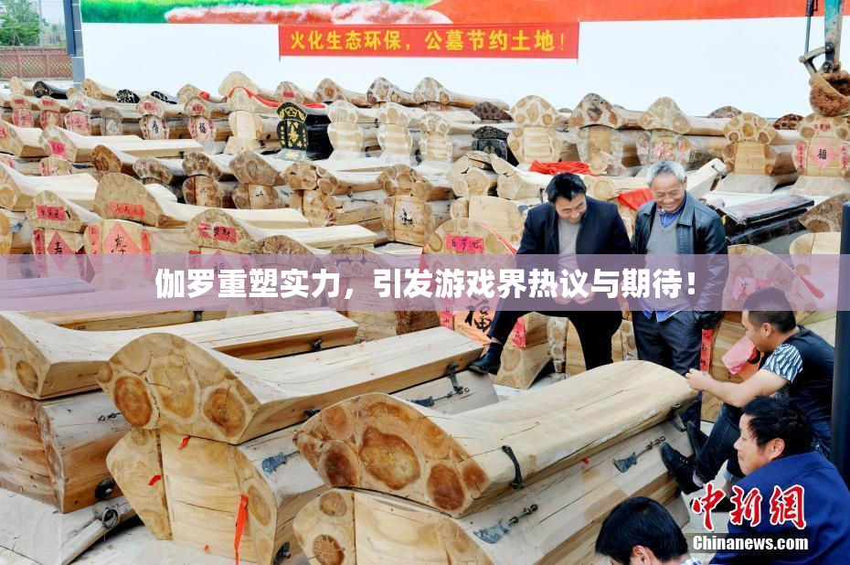 伽罗重塑实力，引发游戏界热议与期待！