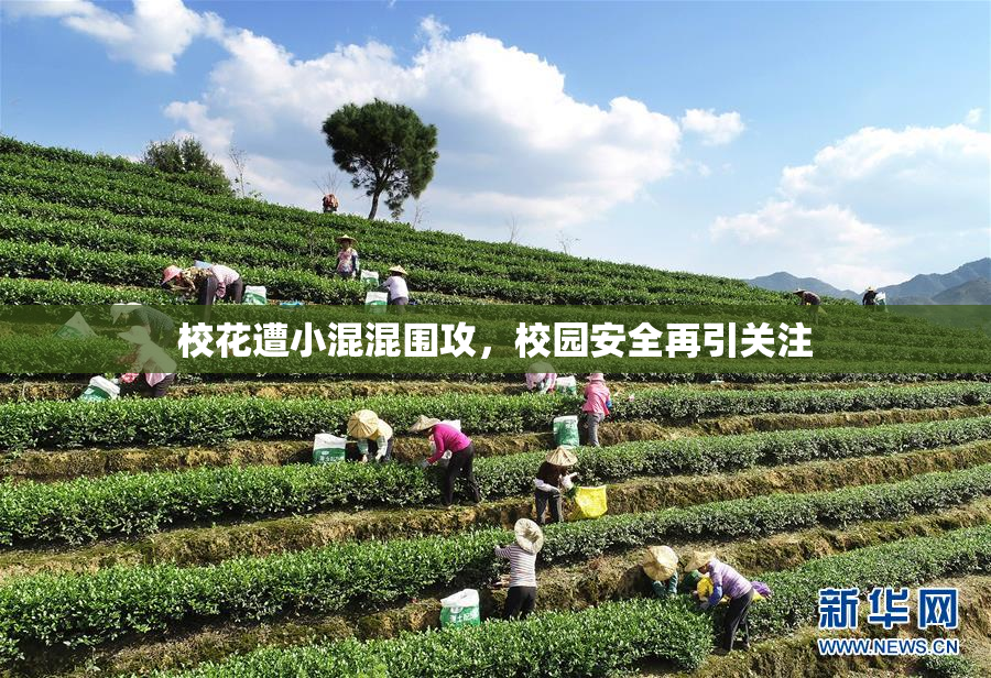 校花遭小混混围攻，校园安全再引关注