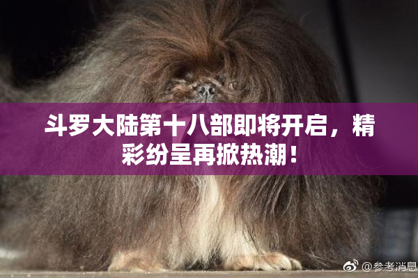 斗罗大陆第十八部即将开启，精彩纷呈再掀热潮！