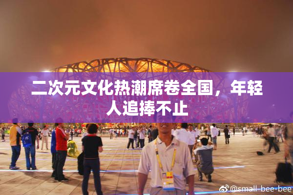 二次元文化热潮席卷全国，年轻人追捧不止