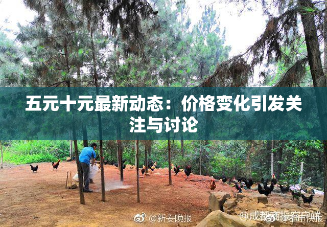 五元十元最新动态：价格变化引发关注与讨论