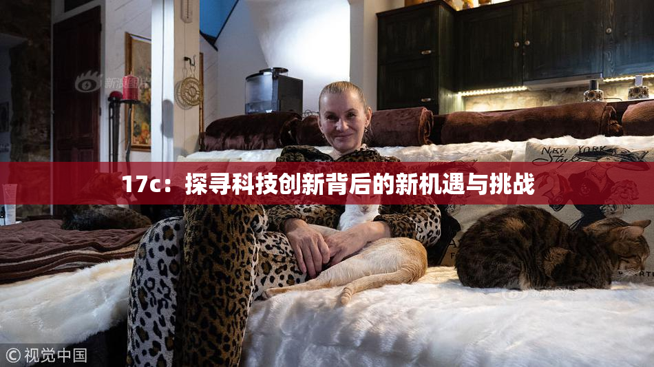 17c：探寻科技创新背后的新机遇与挑战