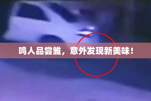 鸣人品尝雏，意外发现新美味！