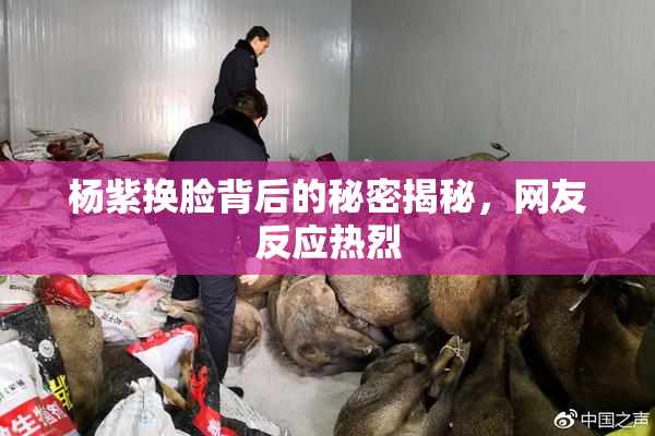 杨紫换脸背后的秘密揭秘，网友反应热烈