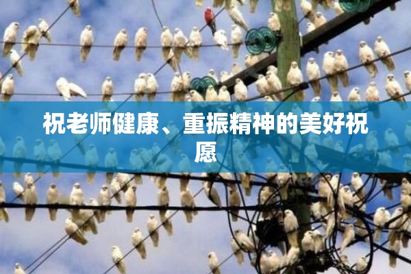 祝老师健康、重振精神的美好祝愿