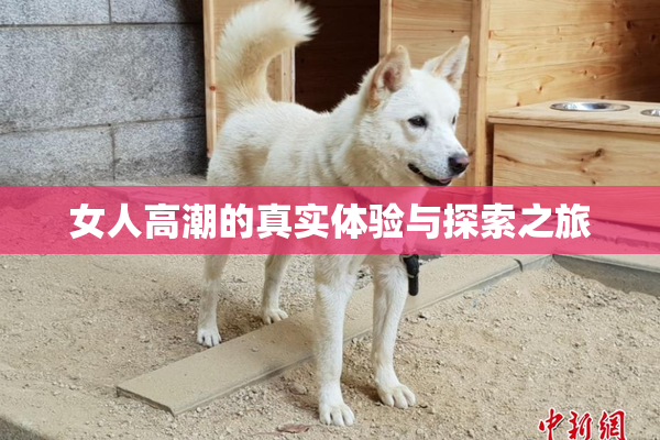 女人高潮的真实体验与探索之旅