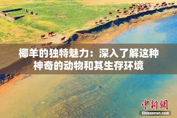 椰羊的独特魅力：深入了解这种神奇的动物和其生存环境