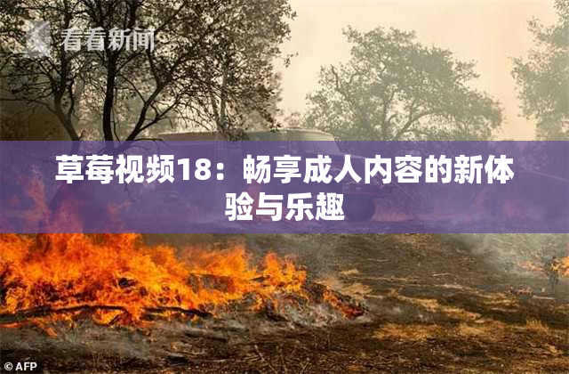 草莓视频18：畅享成人内容的新体验与乐趣