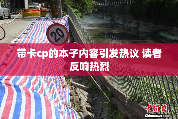 带卡cp的本子内容引发热议 读者反响热烈
