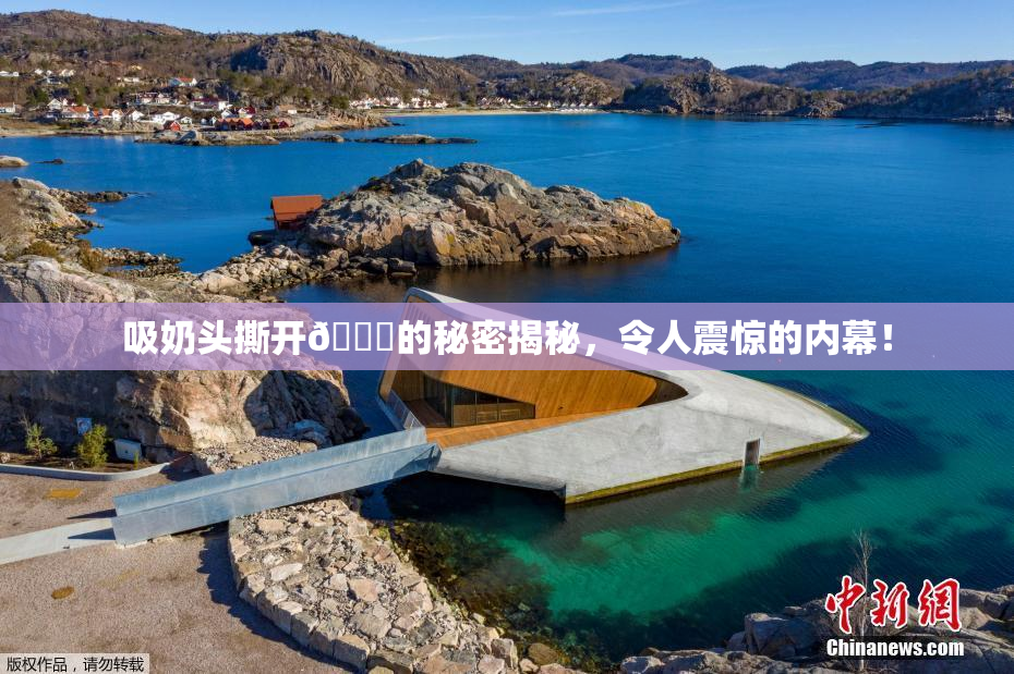 吸奶头撕开👙的秘密揭秘，令人震惊的内幕！