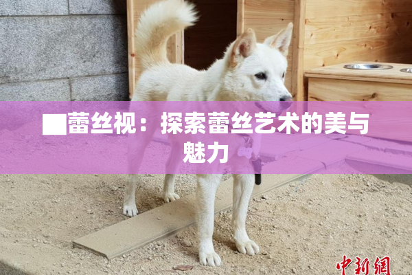 ▇蕾丝视：探索蕾丝艺术的美与魅力