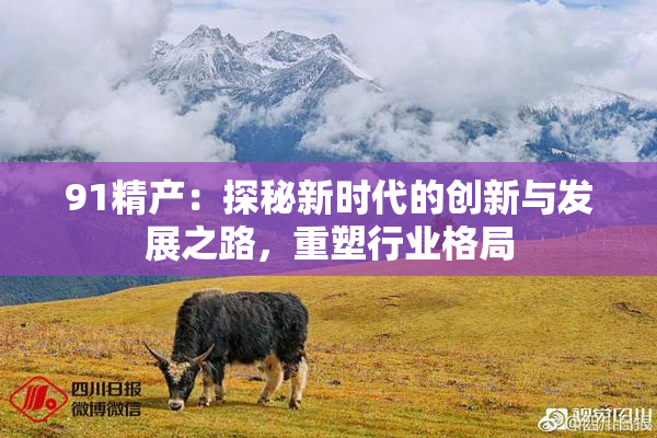 91精产：探秘新时代的创新与发展之路，重塑行业格局