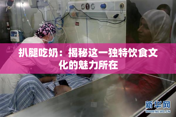 扒腿吃奶：揭秘这一独特饮食文化的魅力所在