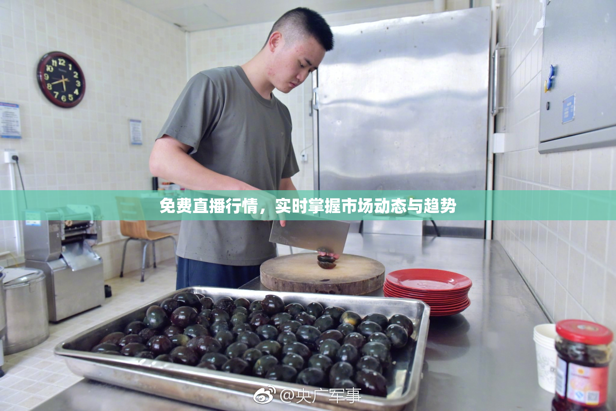 免费直播行情，实时掌握市场动态与趋势