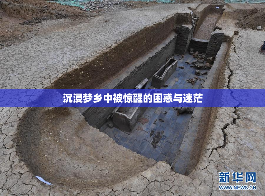 沉浸梦乡中被惊醒的困惑与迷茫