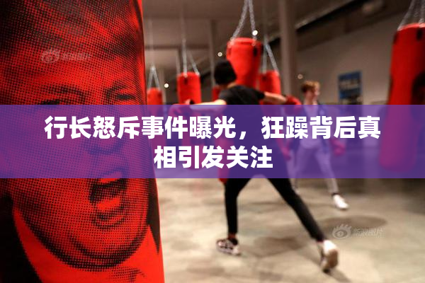 行长怒斥事件曝光，狂躁背后真相引发关注