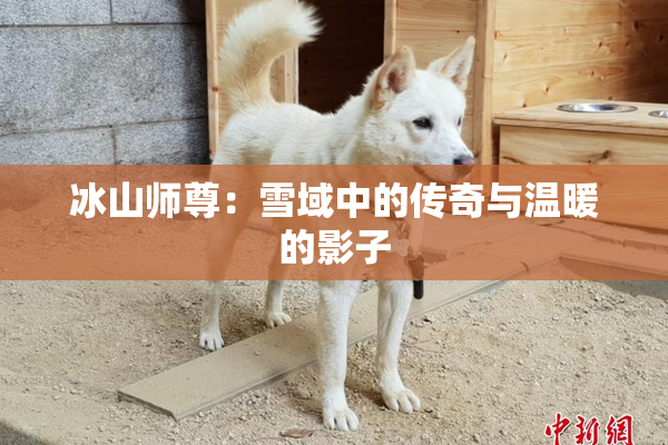 冰山师尊：雪域中的传奇与温暖的影子