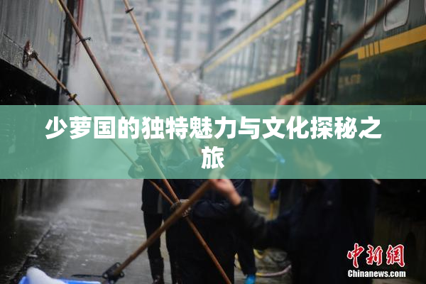 少萝国的独特魅力与文化探秘之旅