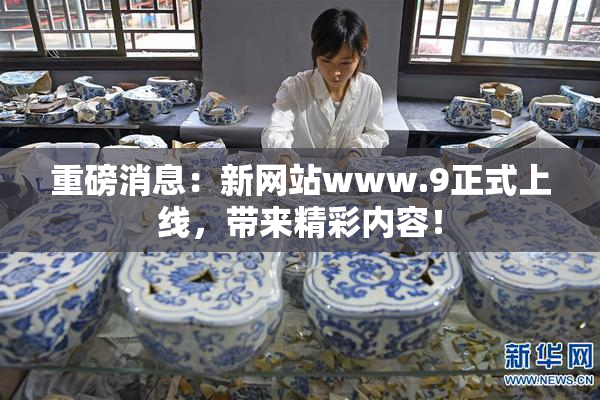 重磅消息：新网站www.9正式上线，带来精彩内容！