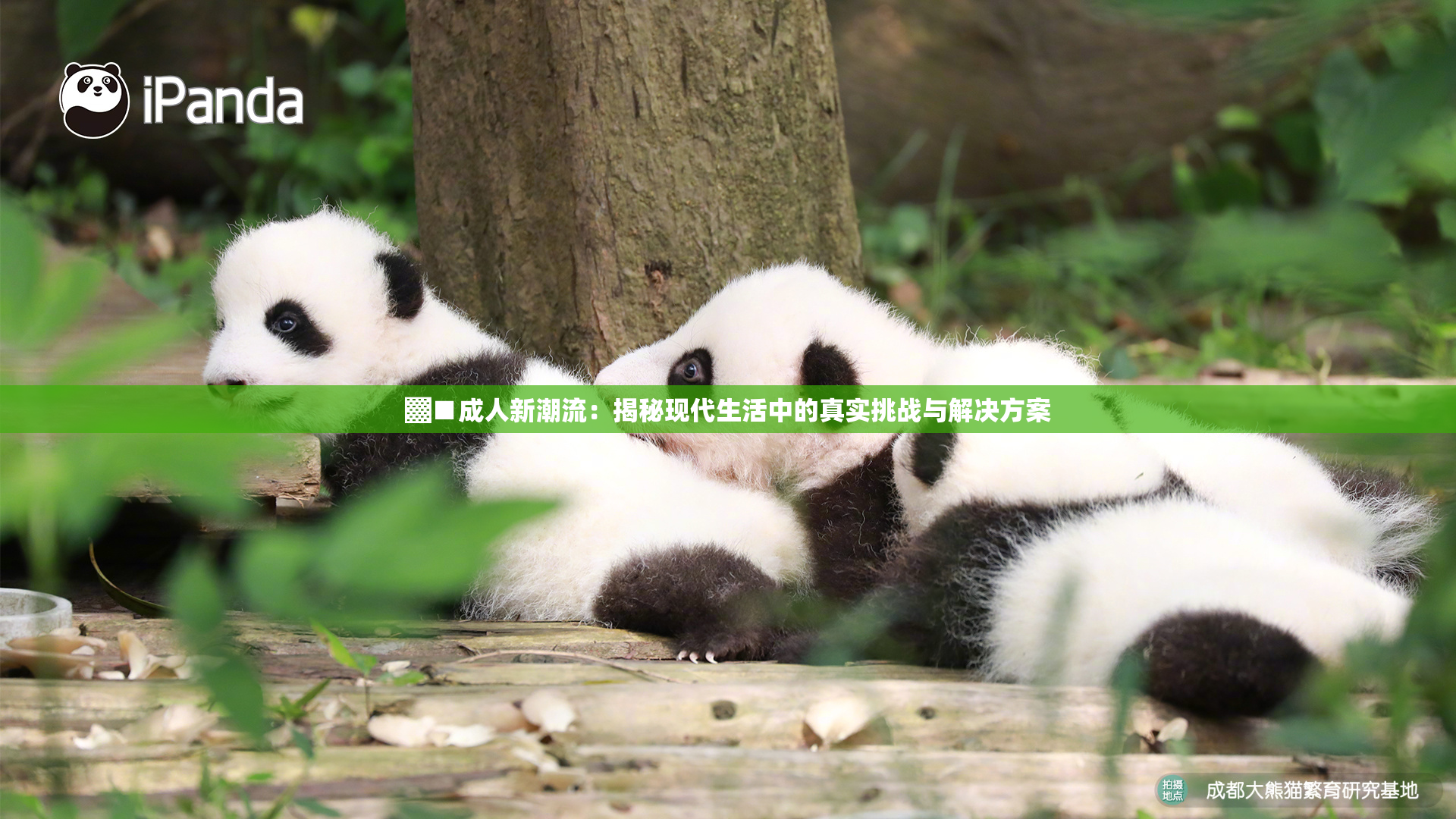 ▓■成人新潮流：揭秘现代生活中的真实挑战与解决方案