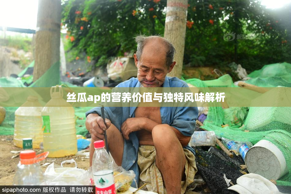 丝瓜ap的营养价值与独特风味解析