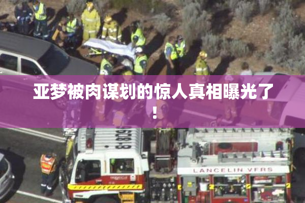 亚梦被肉谋划的惊人真相曝光了！