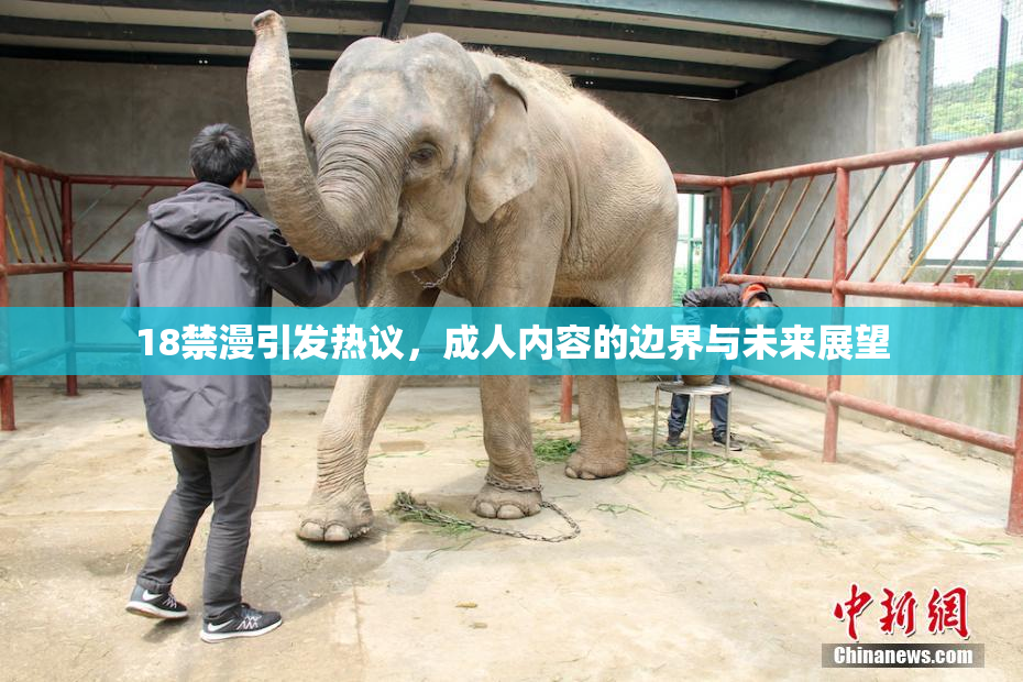 18禁漫引发热议，成人内容的边界与未来展望
